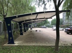 停車棚系列141