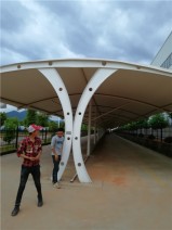 停車棚系列153